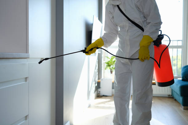 Best Mold Remediation for Specific Building Types in Estherville, IA